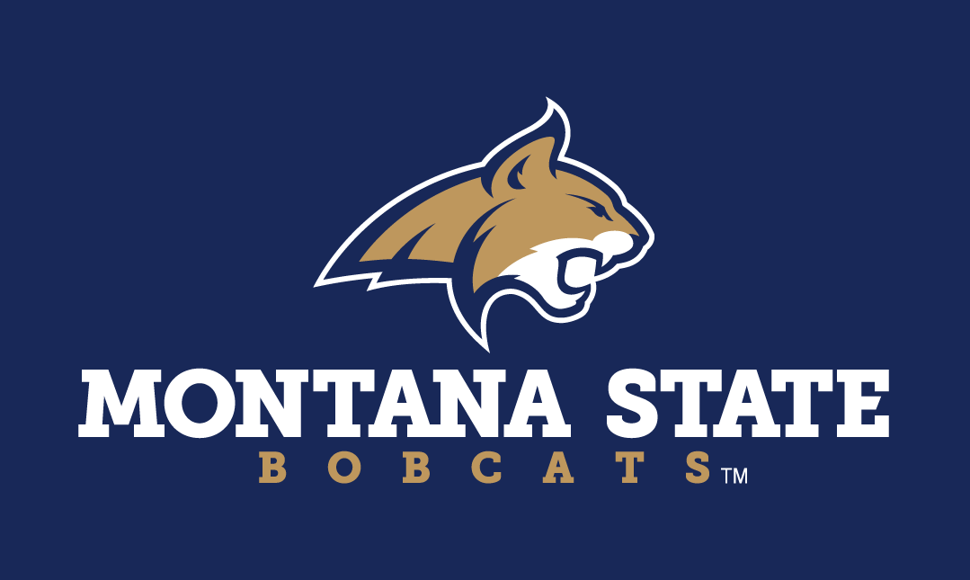 Montana State Bobcats 2013-Pres Alternate Logo 06 iron on paper